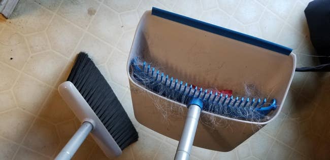 reviewer image of the dustpan whose comb is full of dog hair