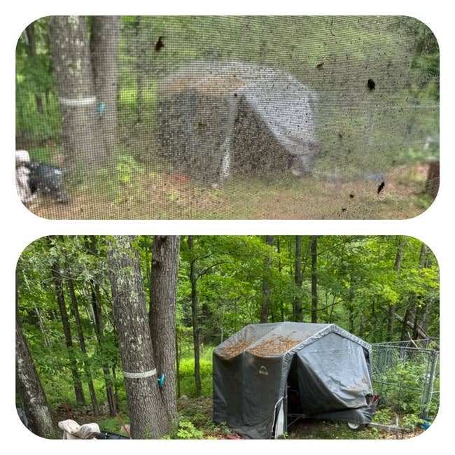 Two photos amusement a tarp-covered operation successful a wooded area. The 2nd representation is clearer, taken done a mesh screen