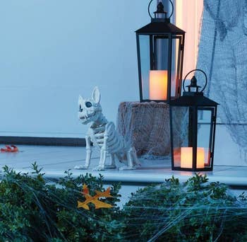the french bulldog skeleton on a front porch