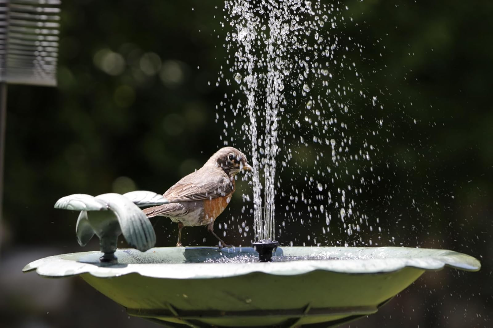 23 Items To Turn Your Yard Into Your Personal Hideaway