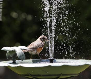 23 Items To Turn Your Yard Into Your Personal Hideaway