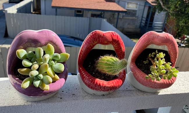 reviewers three lip planters in purple, red, and pink with plants coming out of the open mouths
