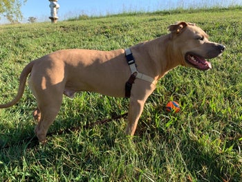 Reviewer image of side view of product in black and white with black clip on top side