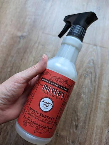Person holding a vessel of Meyer's Clean Day multi-surface cleaner, herb vine scent