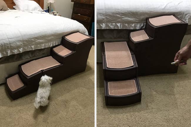 Reviewer image of dog next to straight brown dog stairs against white bed, reviewer image of product in an L shape against bed