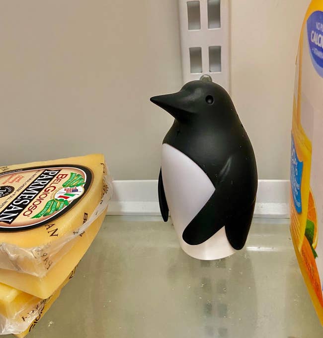 reviewer image of the penguin deodorizer in a fridge