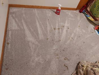 reviewer before photo of a carpet with brown stains all over it