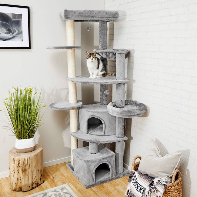 gray cat tree with a ginger cat perched on one of the landings