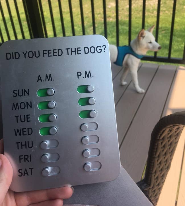 device with 14 sliders, two for each day to record when the dog has been fed