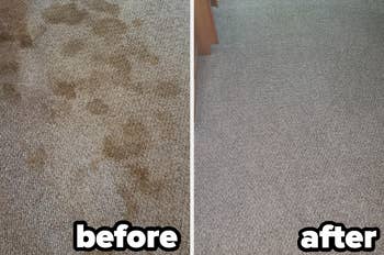 left: reviewer's before photo of heavily urine-stained carpet / right: after photo looking new with no signs of stains