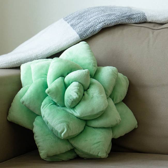 green plush pillow that looks like a succulent plant