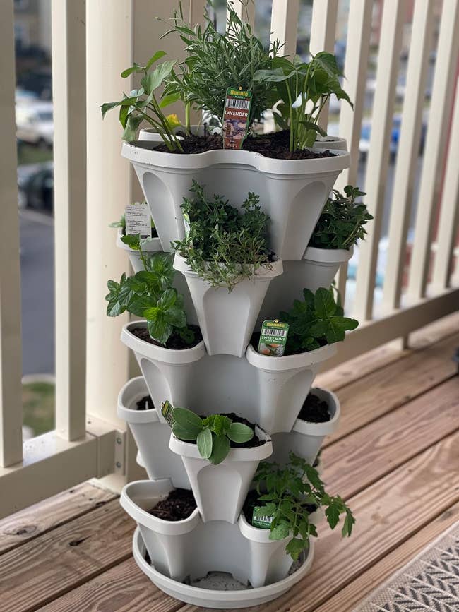 Vertical garden planter with various herbs on a balcony. Ideal for small spaces, enhances green living shopping options