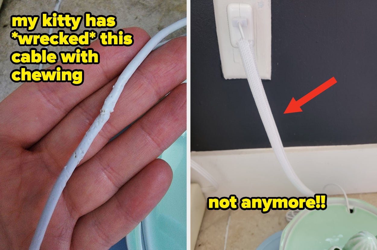 a chewed white cable and text