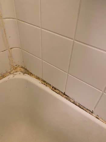 Corner of reviewer's tub with black mildew