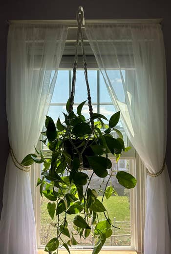 Hanging works  successful  a macramé holder by a model   with sheer curtains and a presumption    of a plot  outside