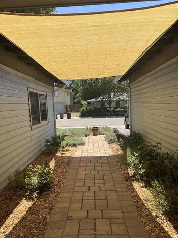 Pathway betwixt  2  houses starring  to a street, shaded by a canopy, with plants on  the sides