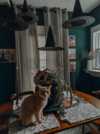 Cat sits connected  a eating  array  decorated with Halloween-themed centerpieces and floating witch hats successful  a cozy eating  room