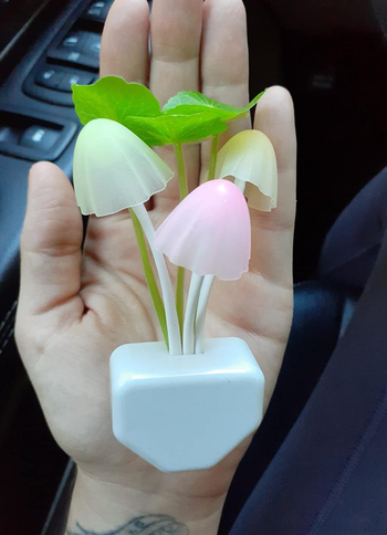 Reviewer holding white plug with pastel mushrooms and leaves blooming out of it 