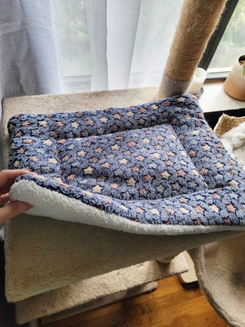 editor showing the thickness of the pad