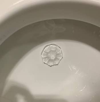 The gel stamp attached to the inside of reviewer's toilet bowl