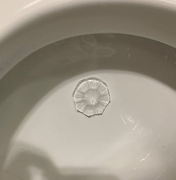 The gel stamp attached to the inside of reviewer's toilet bowl