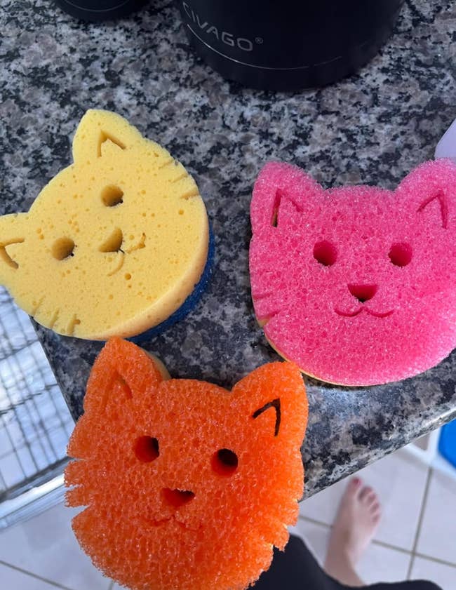 Cat-shaped sponges with smiling faces are placed on a countertop, suggesting playful and functional kitchen cleaning tools