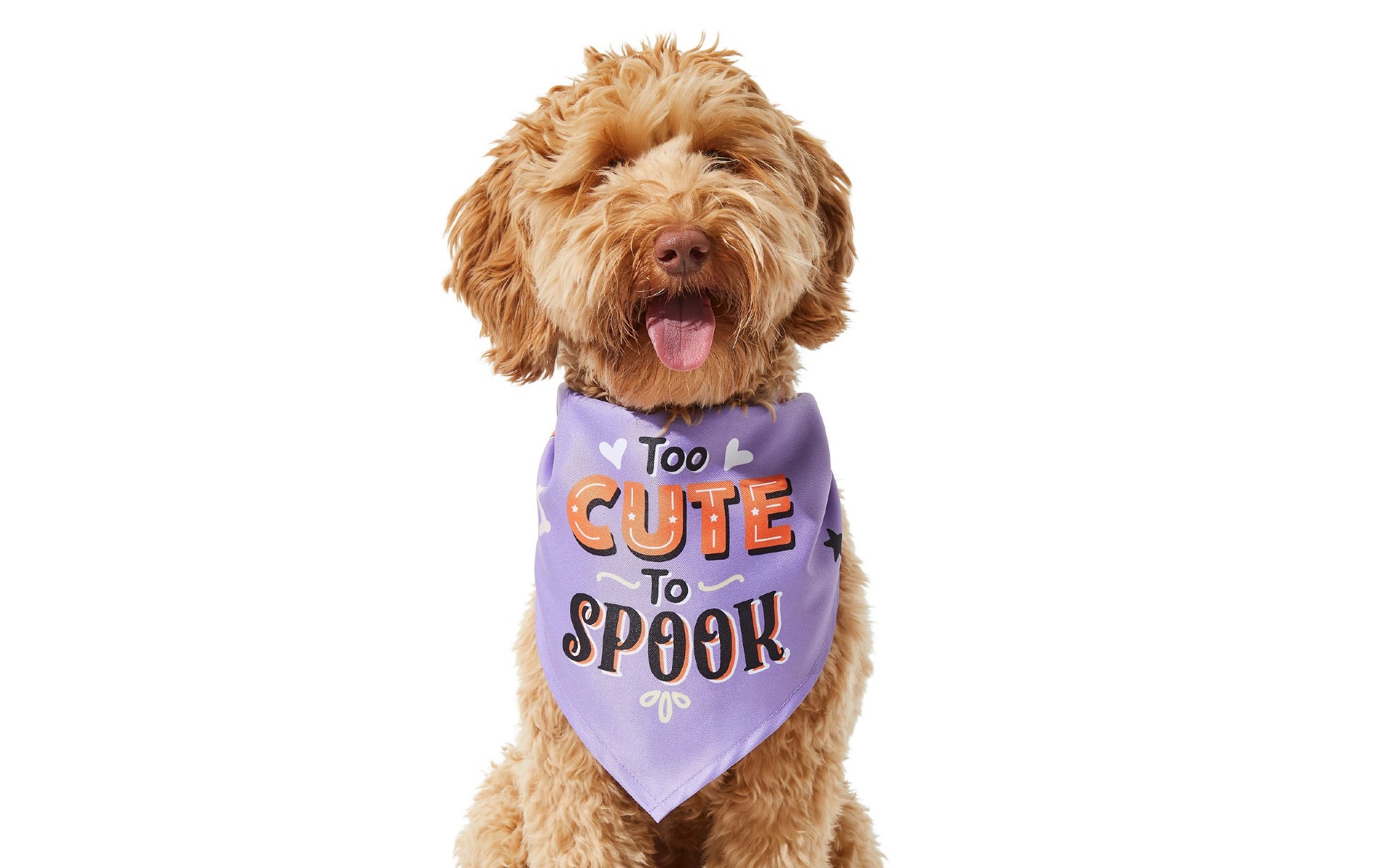 Too cute to spook bandana
