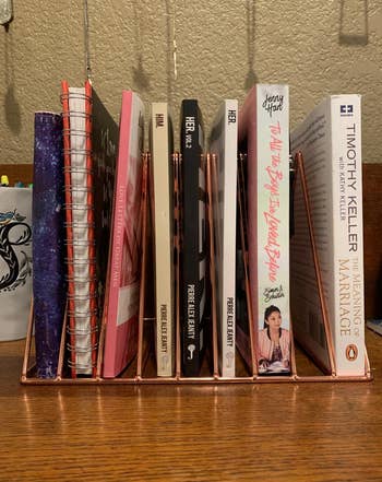 Another reviewer's selection of books and notebooks organized neatly in a rose gold wire book rack 