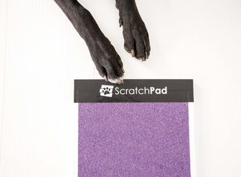 purple scratchpad with dog's paws near it