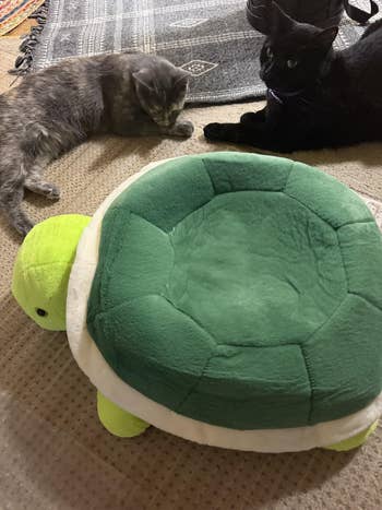 Two cats unbend  connected  the level  beside a large, plush turtle-shaped favored  bed, suggesting a cozy and playful environment