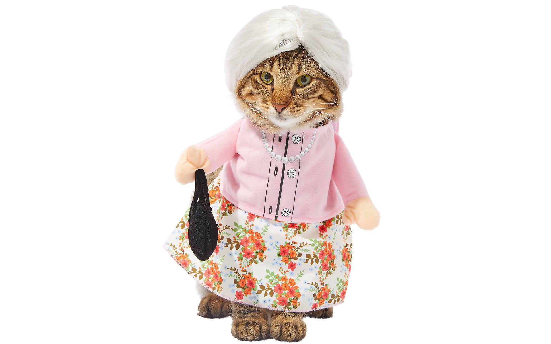 Dog in granny costume