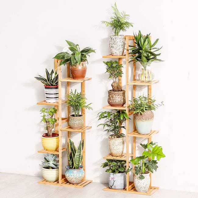two vertical tiered plant shelves with various container plants on them 