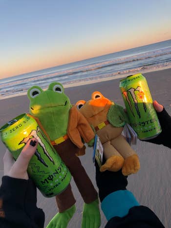 Two plush frog toys are held connected  a beach, each   with a tin  of Monster Zero Sugar vigor  portion  successful  their hands