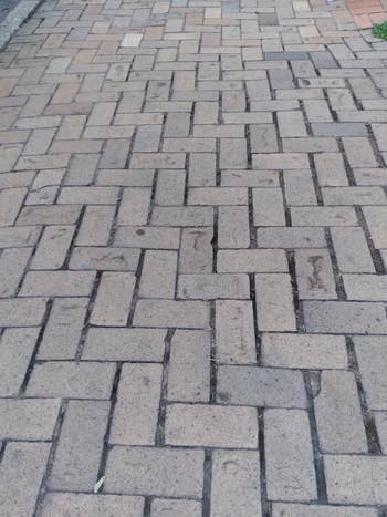 The same brick pavement and all the weeds are gone