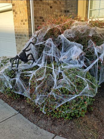 the spider webbing draped across bushes with a giant fake spider
