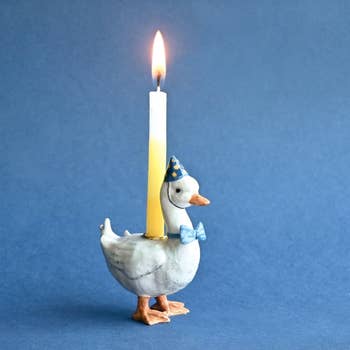 closeup of the goose, who is wearing a bluish  bowtie and bluish  enactment      hat