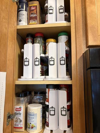 Pantry organized with spice racks, showcasing neatly stacked spices. Several labeled containers are visible, illustrating businesslike  storage