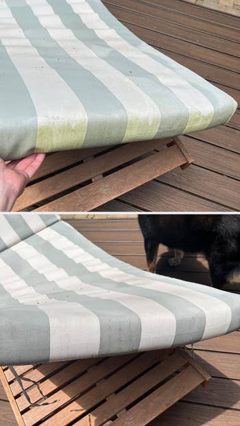 A reviewer's striped outdoor cushion on wooden chair with a black dog's hind legs visible in background