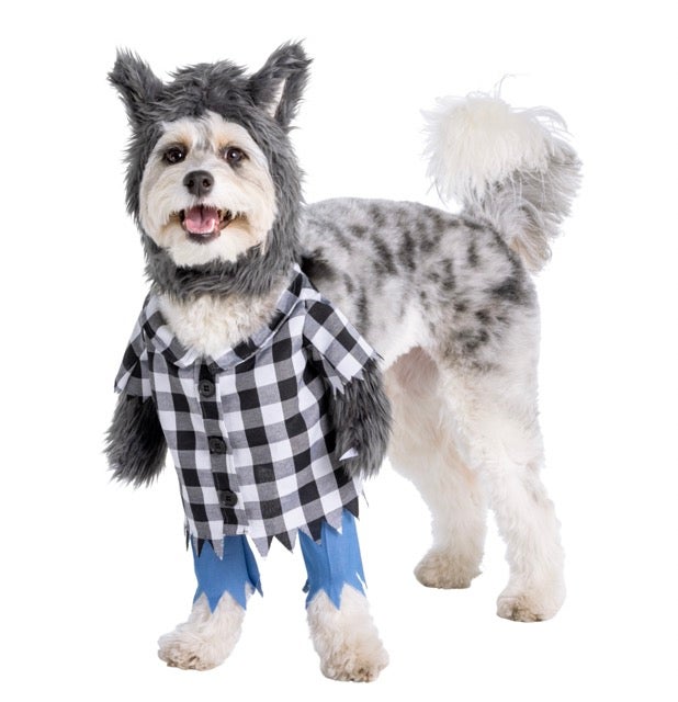 dog in a werewolf costume