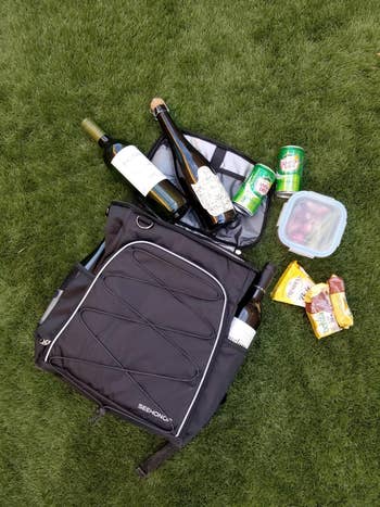 reviewer image of the cooler backpack on grass with assorted food and drinks around it