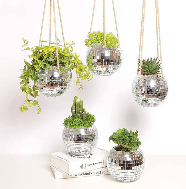 three hanging disco ball planters and two sitting on a stack of books 
