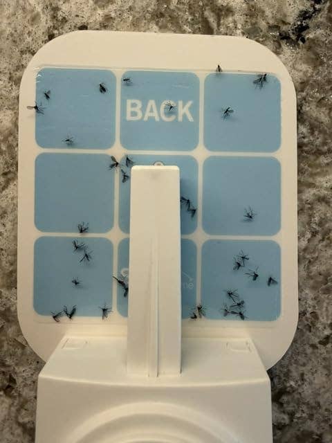 Bug trap covered with tiny  flying insects, attached to a achromatic  instrumentality  connected  a textured surface