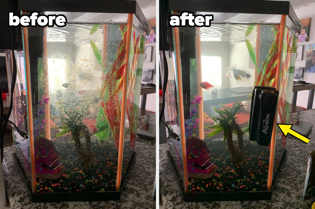 before/after of one side of a dirty fish tank followed by the same tank looking clear after using a cleaning magnet