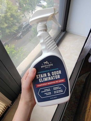 editor holding bottle of rocco & roxie spray