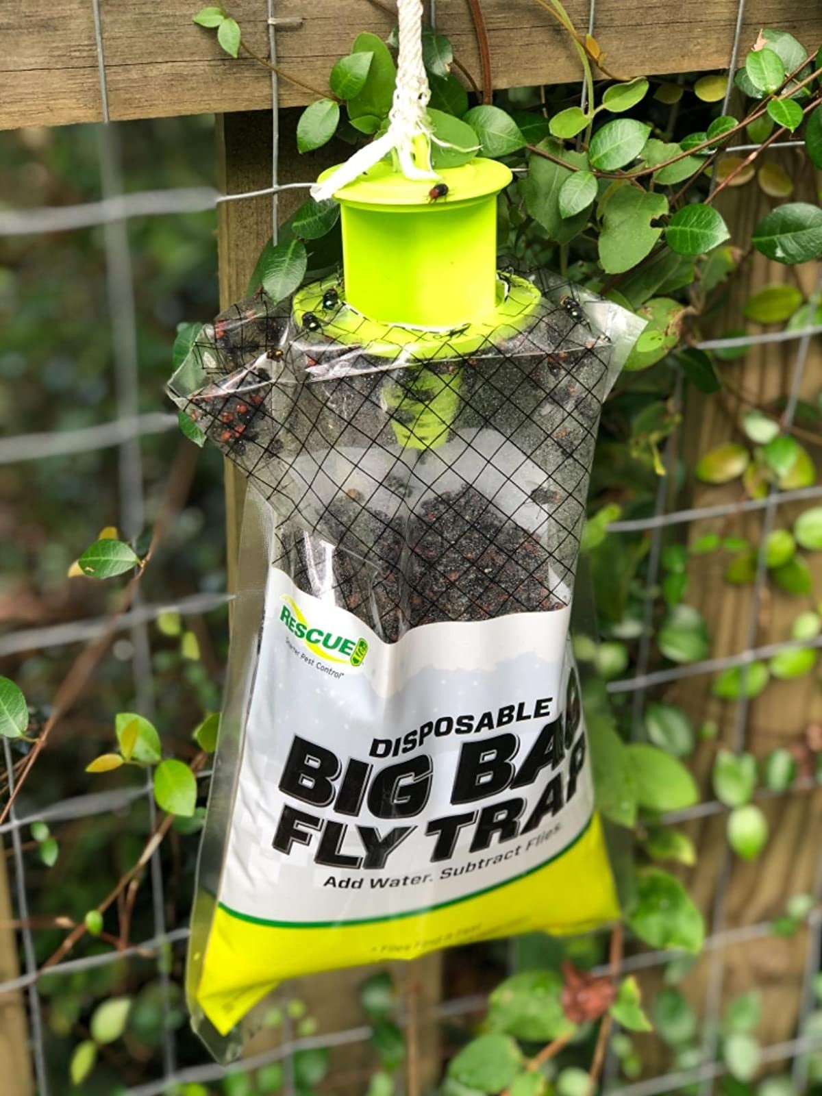 the disposable fly trap bag hanging from a fence