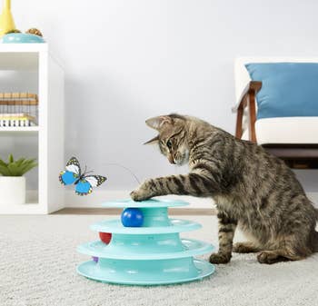 a cat playing with the tiered toy
