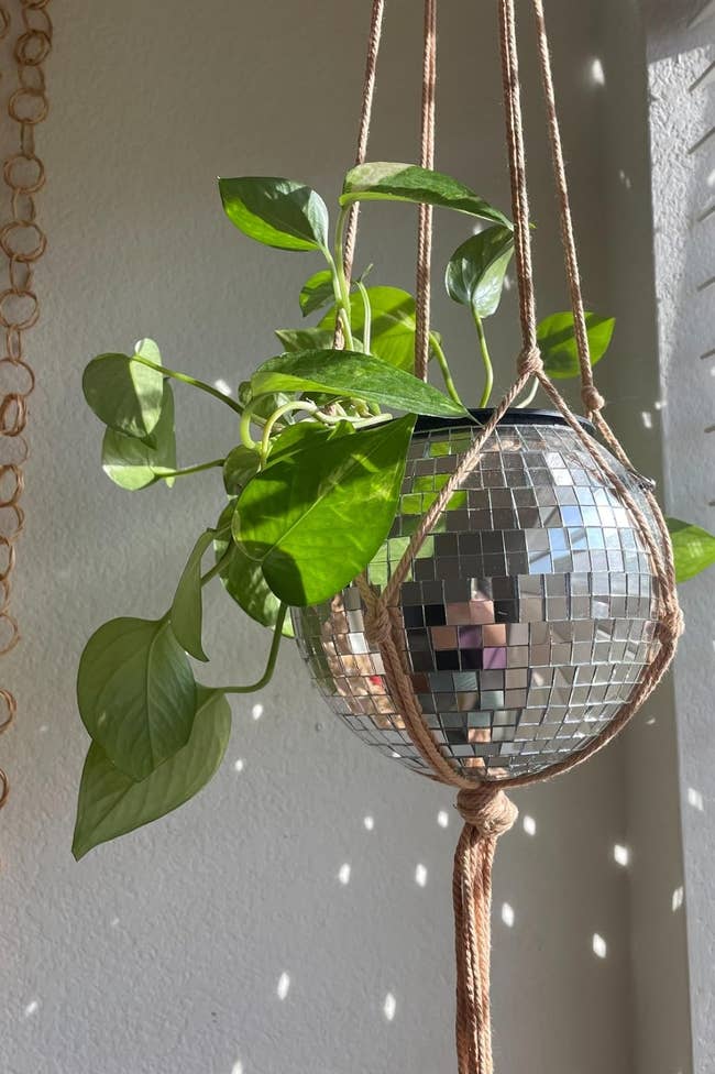 silver disco planter with plant hanging from ceiling