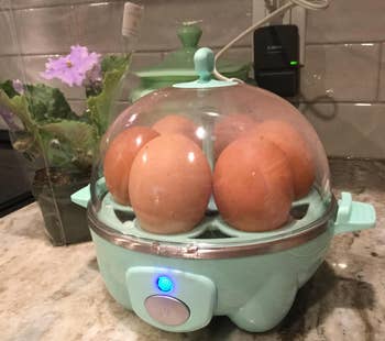 reviewer image of egg cooker with eggs in it on kitchen counter