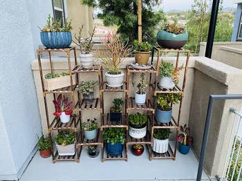 reviewer photo of wooden plant rack outdoors on balcony