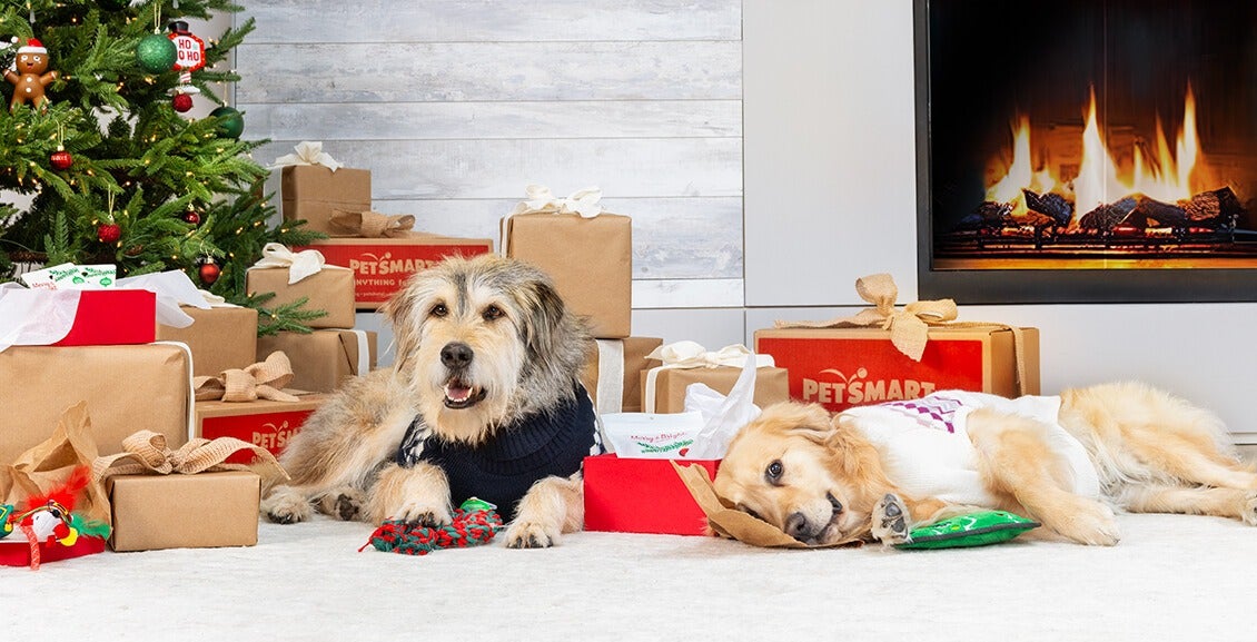 Two dogs lying in front of a christmas tree and fireplace